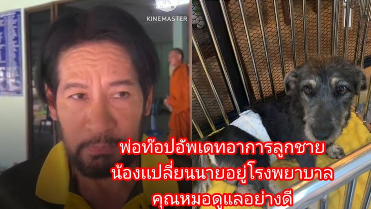 พ่อบิณฑ์ออกมาอัพเดอาการน้องเปลี่ยนนายให้แม่ๆเอฟซีฟัง#น้องเปลี่ยนนาย#บิณฑ์เอกพันบรรลือฤทธิ์