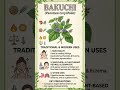DRUG-Bakuchi🌱 The "Ancient Wisdom" Vibe