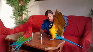 Jak vypadá ovládání dronu?