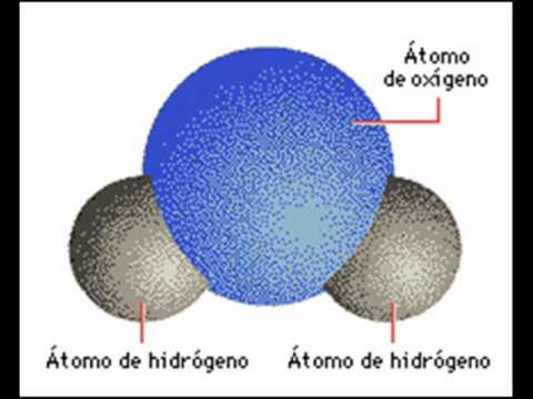 Diferencia entre molécula y átomo