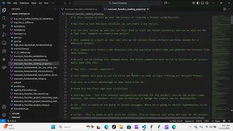 Python Papi / Smart Contracts - Moccasin Favorites - Day 4