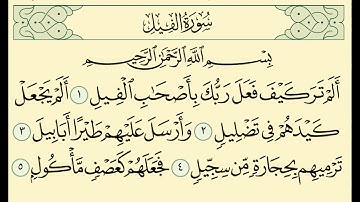 Surat Al Fil Al Cheikh Ahmed Al Ajmi || سورة الفيل تلاوة خاشعة للشيخ أحمد على العجمي