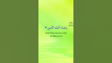 Sura At Tin ( The Fig ) Full With English Translation ( 95 surah ) | سورة التين