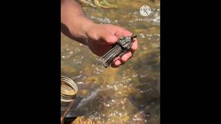 I Found A Exclusive Statue