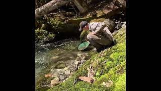 Gold Panning Washington #goldprospecting #gold