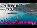 Ласковый май - Глупые снежинки ( Видео Бразилия )