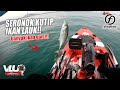 SERONOK kutip IKAN LAUK! - VLUQ#141 - Kayak Fishing Malaysia