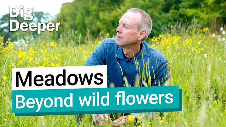 Meadows: A conspiracy between people and plants | Dig Deeper episode 11 | Kew