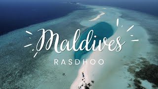 Maldives - Остров РАСДУ. АКУЛЫ на рифе. Январь 2023