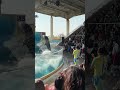 江ノ島水族館のエース ミレニーの濡れるかもしれないクルクル回りながらの連続ジャンプ! イルカショー Wave ~きみの波になりたい~