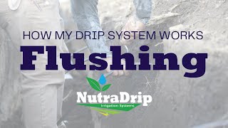 Flushing Components