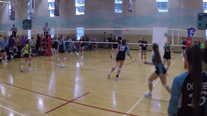 Ava Pinter #15 OH/DS Austin Performance Volleyball