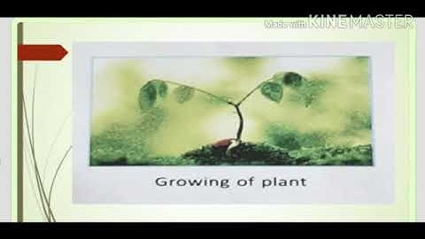 Class 6 Science Chapter 5 Changes Around Us Part 1