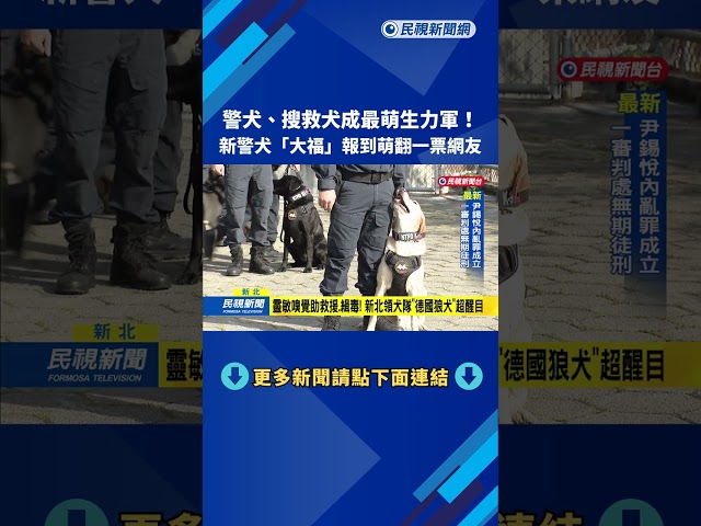 警犬.搜救犬成最萌生力軍! 新警犬"大福"報到萌翻網友－民視新聞