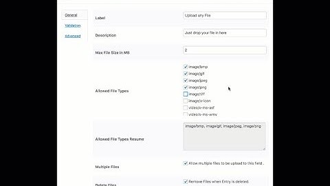 The Ultimative Drag and Drop File Upload Drop Zone for WordPress