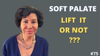 Soft Palate and Singing  DO I LIFT THE SOFT PALATE OR NOT?