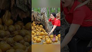 Harvest snails and goes to market sale #harvest #creativesurvival #fruit