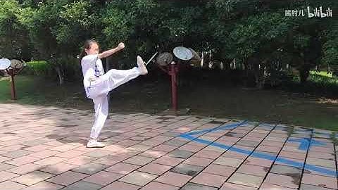 Xing Yi Quan Linking forms 形意拳 - 五行连环拳 Wu Xing Quan