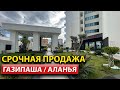 Срочная продажа | ArbatHomes - Ваш выбор в Газипаша: Уют и Качество