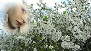 Thumbnail of А над речкой туман    Исп.Л.Шепилова и С.Дубровин