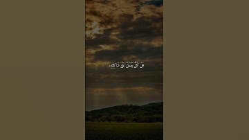 سورة الإسراء { ٨٢ ــ ٨٥ } #ياسر_الدوسري #قرآن #انشر_تؤجر