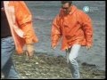 “Historias de la Argentina secreta”: travesía por el Canal Beagle, 1991