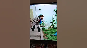 اقوى لقطة شوفلي حل 