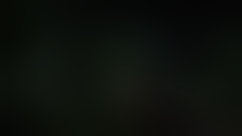 Post scriptum marksmen nonsense