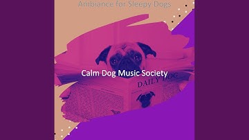 Scintillating Backdrops for Relaxing Puppies