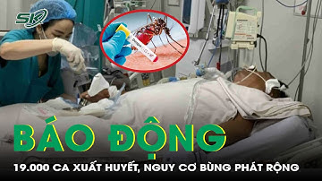 Gần 19.000 ca mắc sốt xuất huyết, báo động nguy cơ bùng phát phức tạp| SKĐS