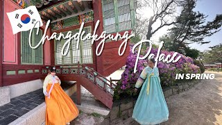 [SUB] Best Korea Palace To Visit in Spring and Autumn - Changdeokgung and Changgyeonggung Vlog