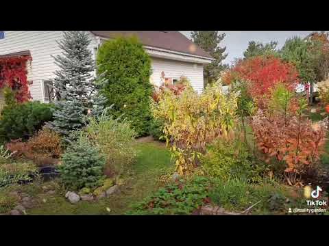 Детский сад 9 пушкинского района. Сад 9 3. Садик 9. Сад 9 января в спб. Детский сад 1 комрат.