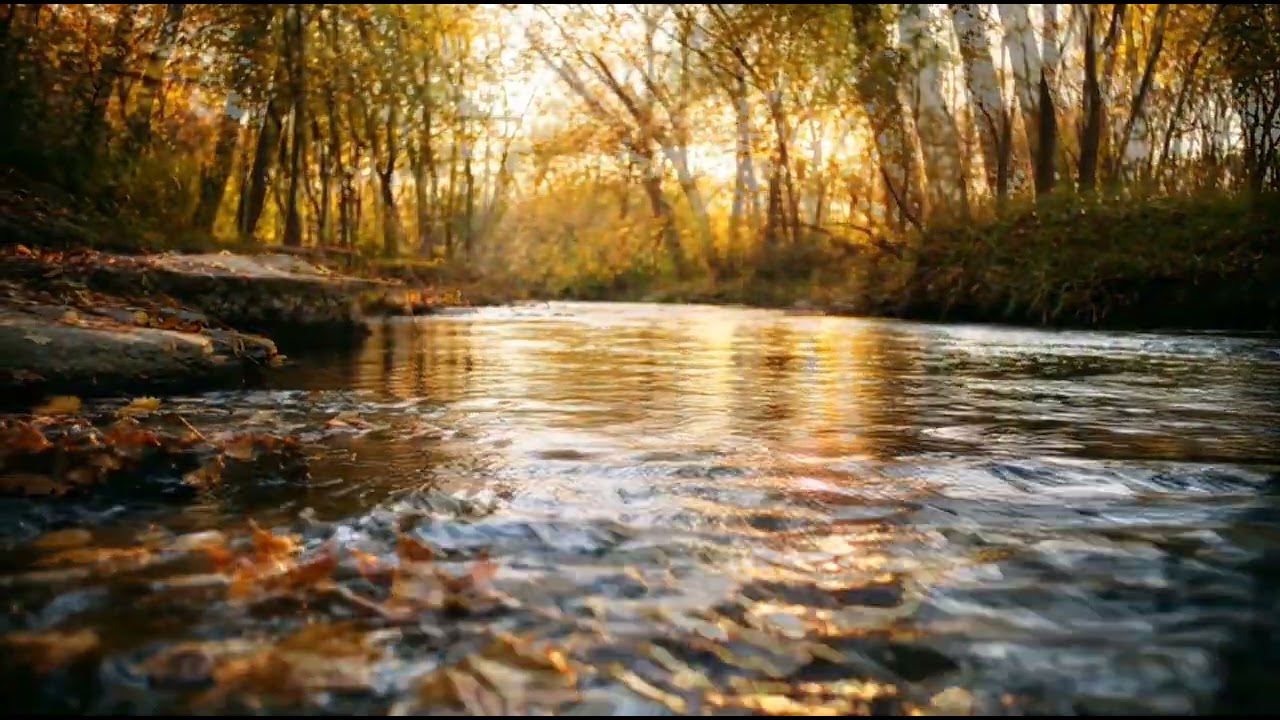 Damai Alami - Suara Air Mengalir & Piano Sleep Music – ASMR Suara Air Pengantar Tidur