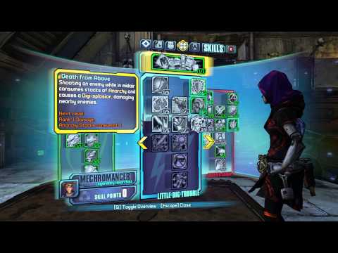 Borderlands Anarchy Mechromancer Build Borderlands Anarchy Mechromancer Build