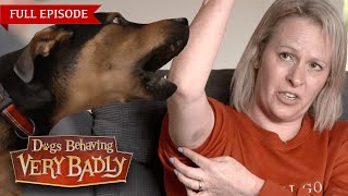 Dogs Behaving Very Badly  Series 1, Episode 3 | Full Episode