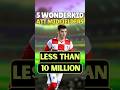 I Found 5 CHEAP Attacking Midfield Wonderkids in Football Manager