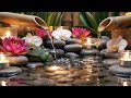 🌙 Night Bamboo Ambience &amp; Bird Sounds 🎹 Calm Piano Music for Insomnia, Deep Sleep &amp; Healing
