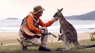 Arthur L'aventurier - 🦘Les kangourous 🦘