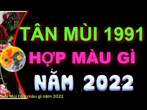 Nữ Sinh Năm 1991 Hợp Màu Gì - Tuổi Tân Mùi 1991 hợp màu gì 2022 để mang đến TÀI LỘC