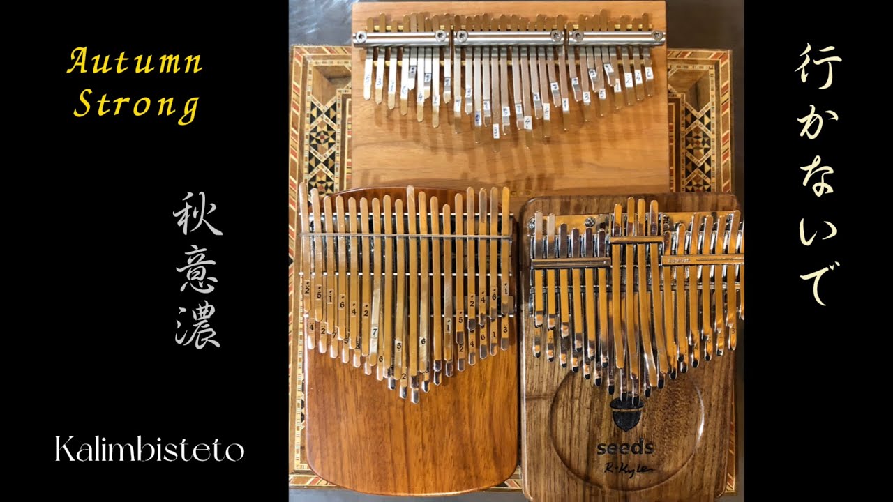 Autumn Strong 行かないで 秋意濃 李香蘭 Pozdnyaya Osen 가지 말아요 Chromatic Kalimba Cover カリンバ演奏 Youtube