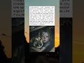 "A Guardian Angel with Four Legs: The Dog Who Saved Emily"