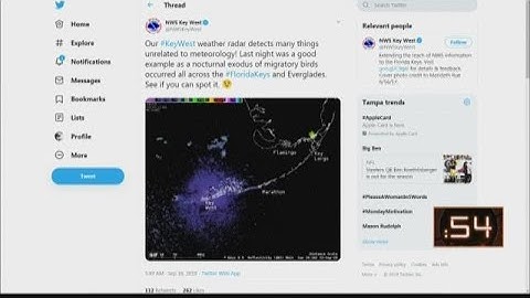 Got a Minute?: Tracking flocks of birds on radar