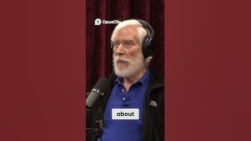 How Probability Creates Our Reality