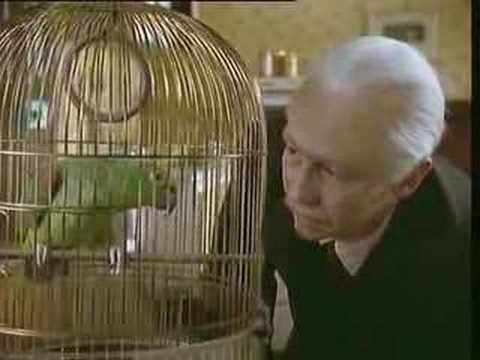 The Fast Show - Unlucky Alf - Parrot Sketch