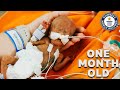 World's Most Premature Baby | Guinness World Records