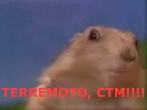 Ardilla Dramática - Terremoto