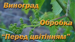 Обробка винограду перед цвітінням. Друга профілактична обробка винограду. Захист винограду.