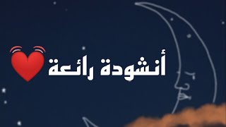 حن قلبي له فاض شوقًا إليه | أحمد النفيس حالات واتساب.