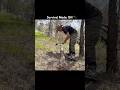 Cutting Trees &amp; Building a Forest Shelter FROM SCRATCH | Wilderness Survival #shortsvideo #asmr