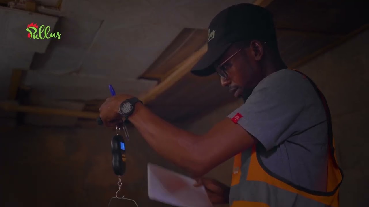 A Day in the Life of an Extension Officer